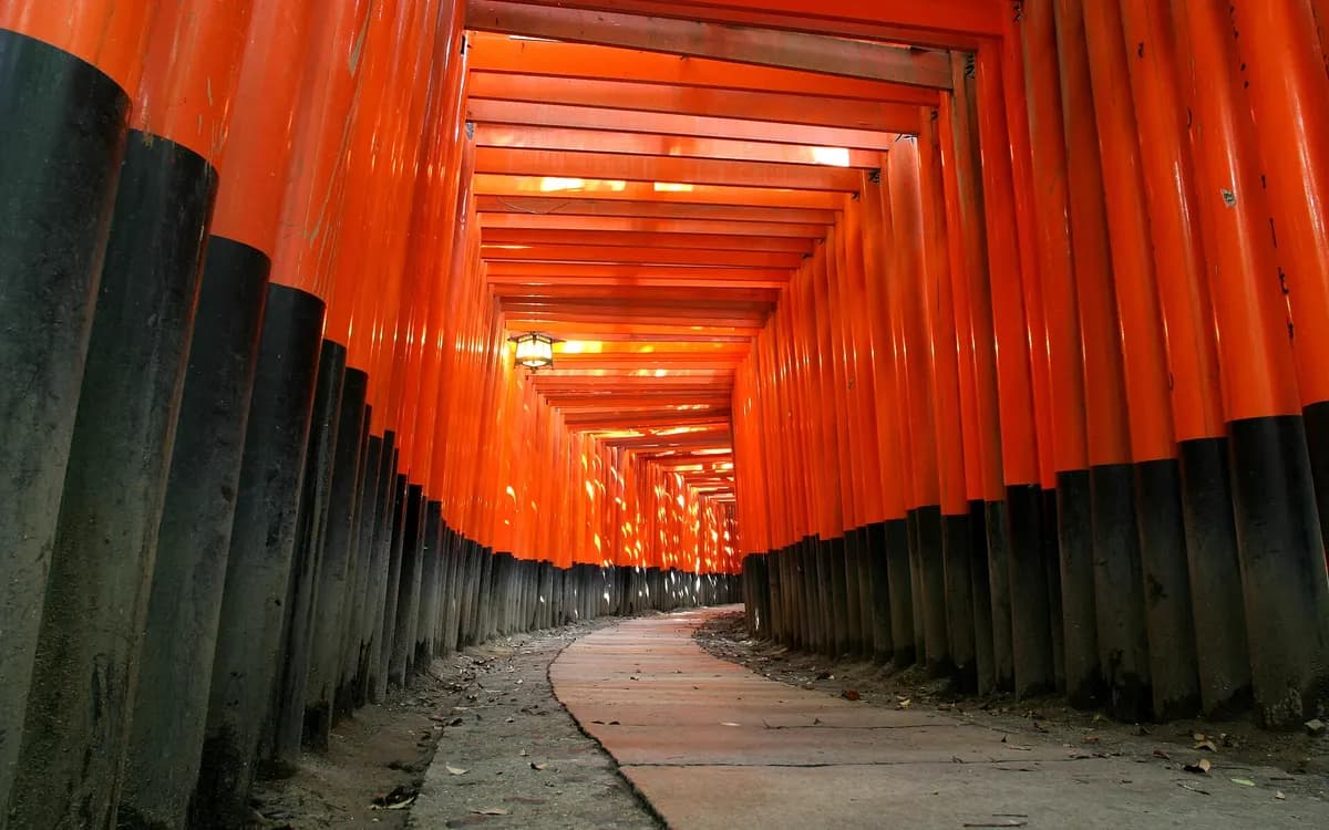 Fushimi Inari'de turuncu torii kapılarından oluşan tünel